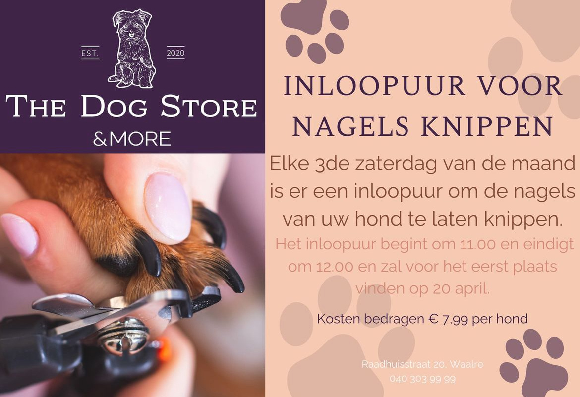 Iedere 3de zaterdag inloopuur nagels hond knippen 