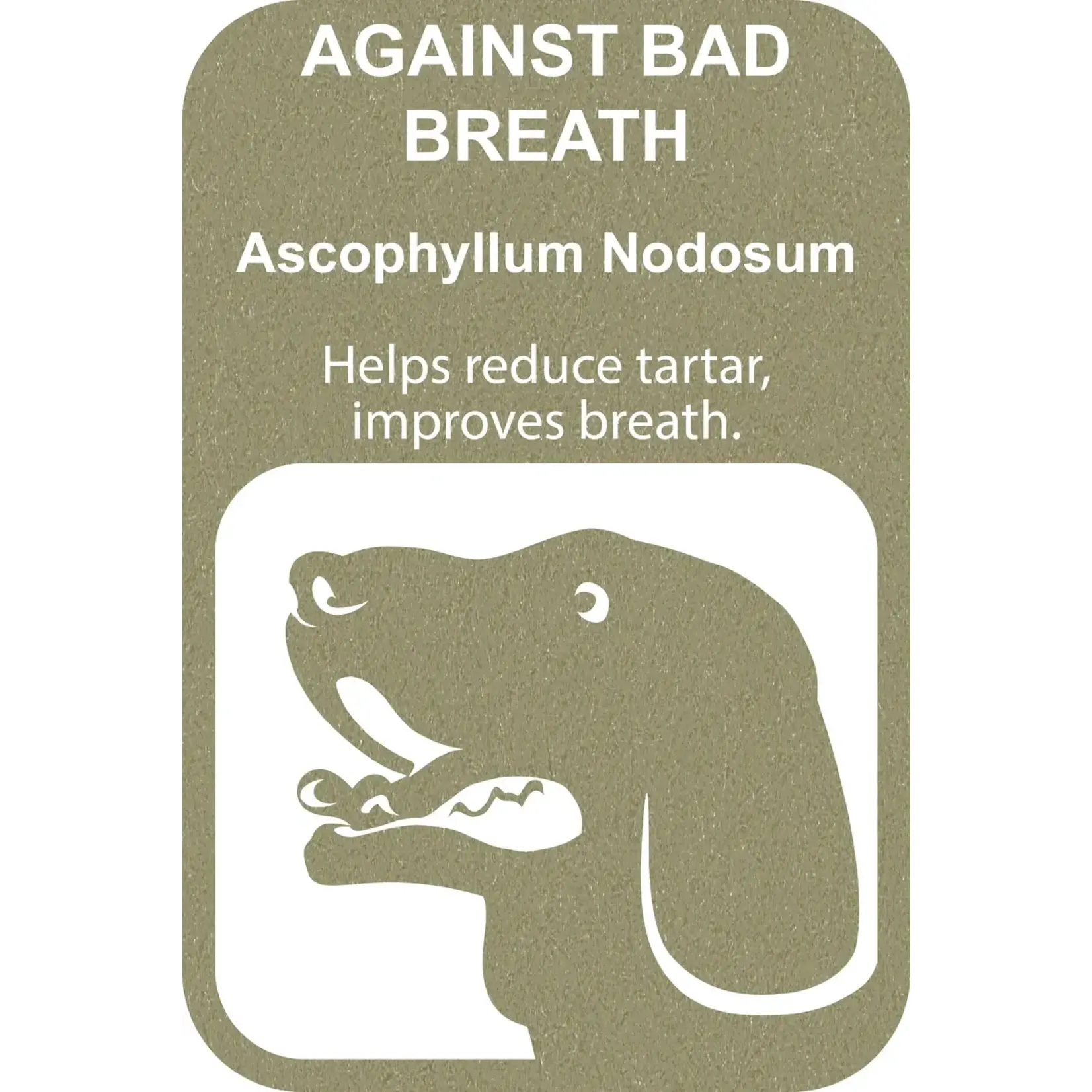 Ferplast 100% Snack Toothbrush S Groen/Ascophillum