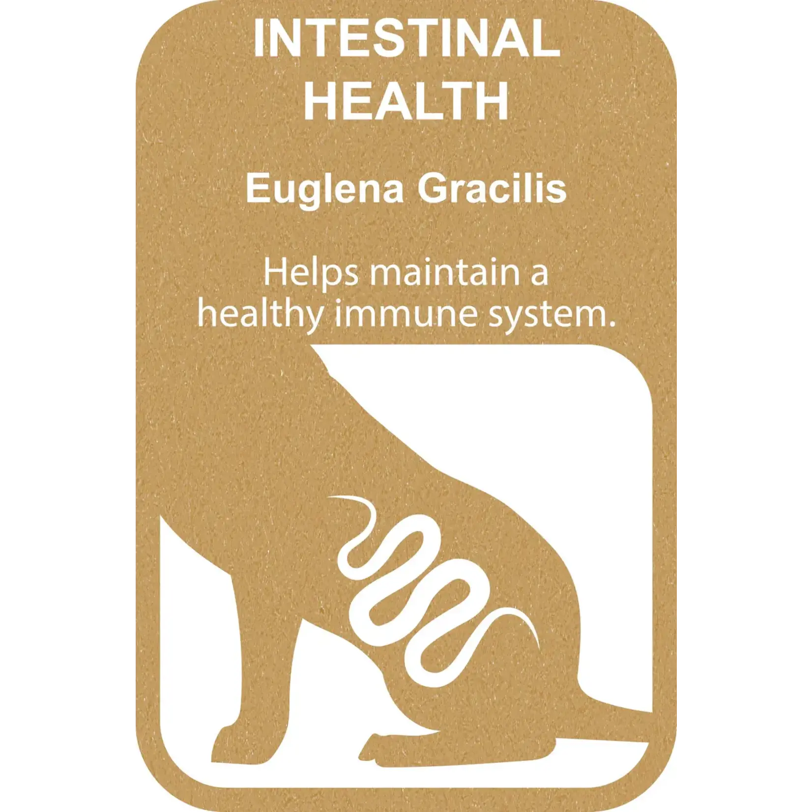 Ferplast 100% Snack Candy M Geel/Euglena