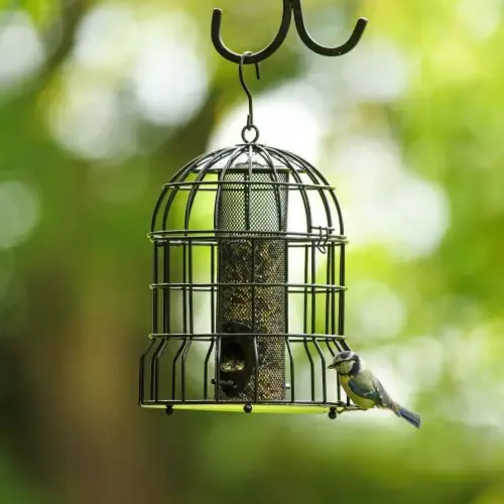 CJ Wildlife Milan Guardian Zaad Feeder