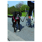 Trixie Fiets Set