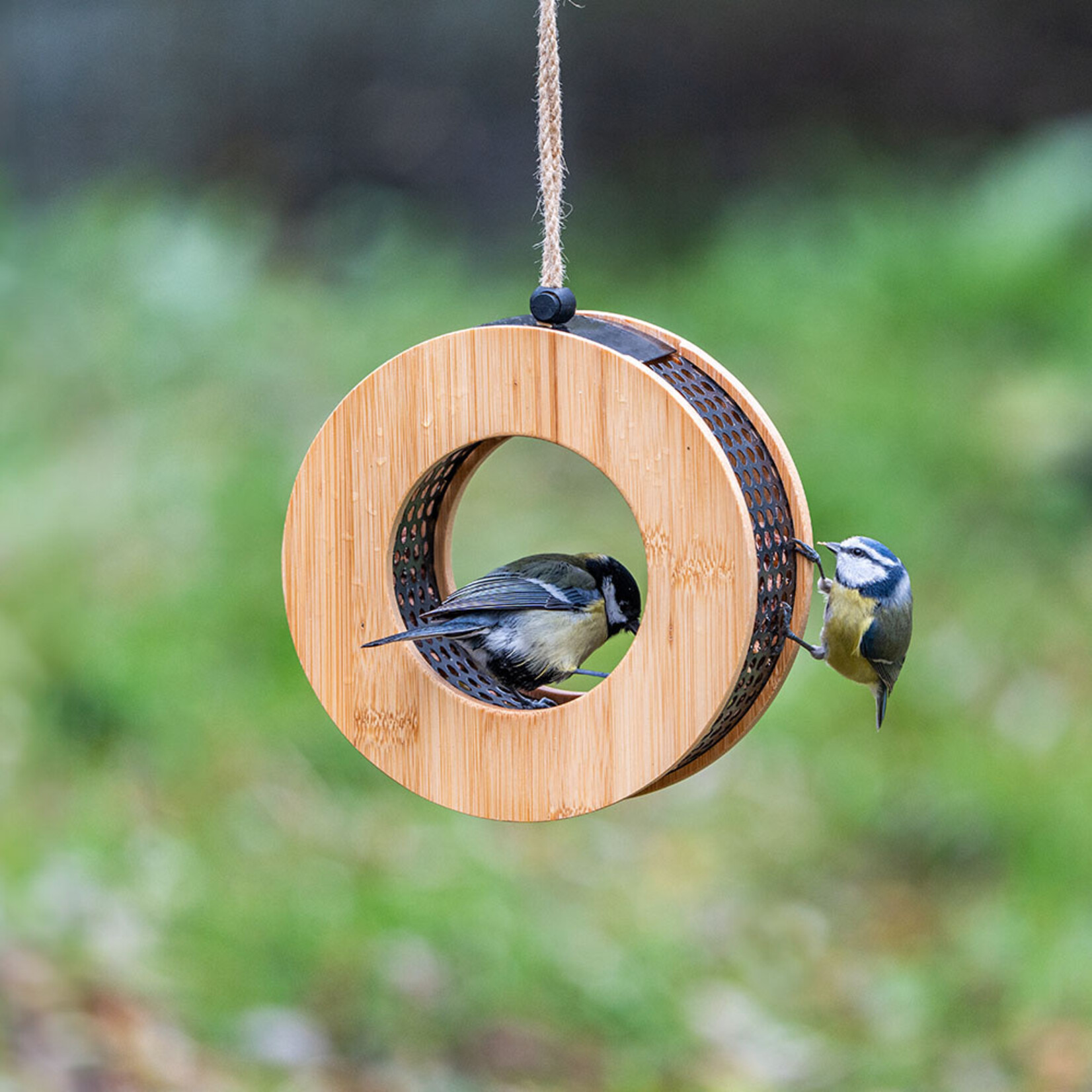 CJ Wildlife CJW Kyoto Pinda's