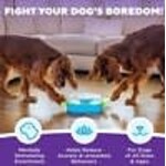 Nina Ottosson NO Paw N' Play