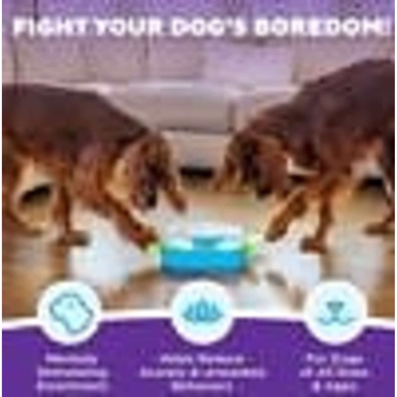 Nina Ottosson NO Paw N' Play