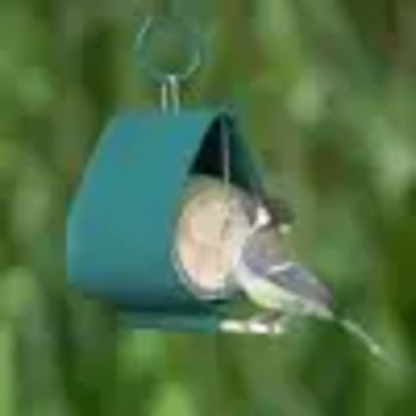 CJ Wildlife Pindakaaspothouder Malibu - Groen