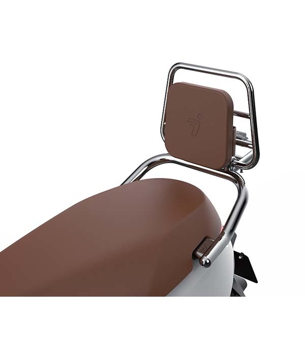 Segway E110SE Achterklapdrager chroom met bruin kussen