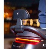 Segway E110SE rugsteun zwart met zwart kussen