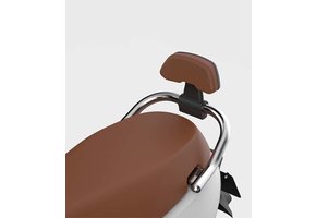 Segway E110SE rugsteun zwart met bruin kussen