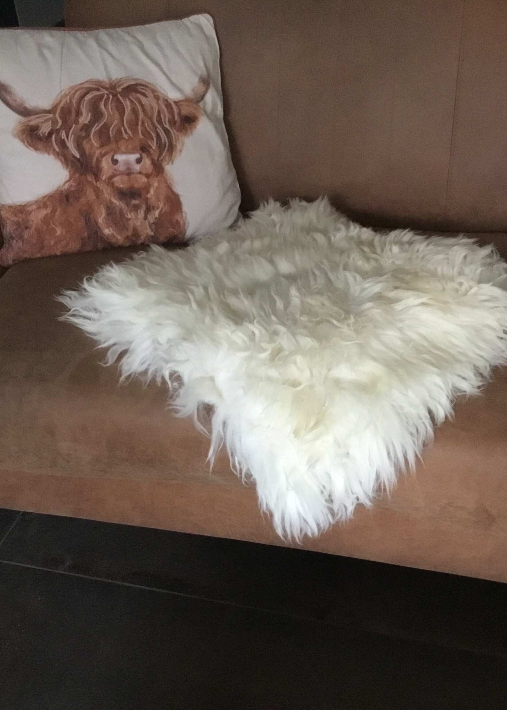 Chairpad  alle kleuren