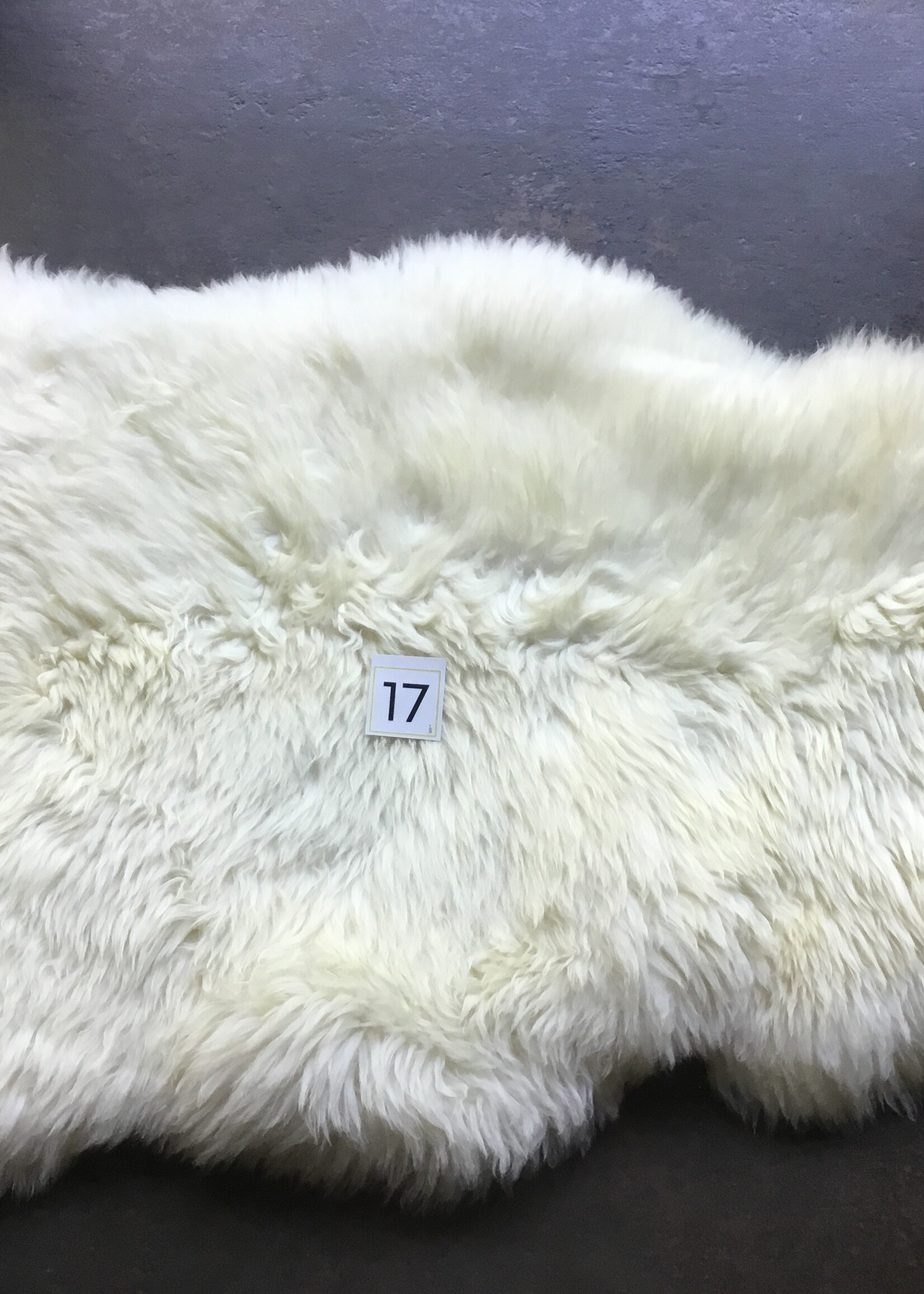 Schapenvachten  M lichte en Bonte kleuren