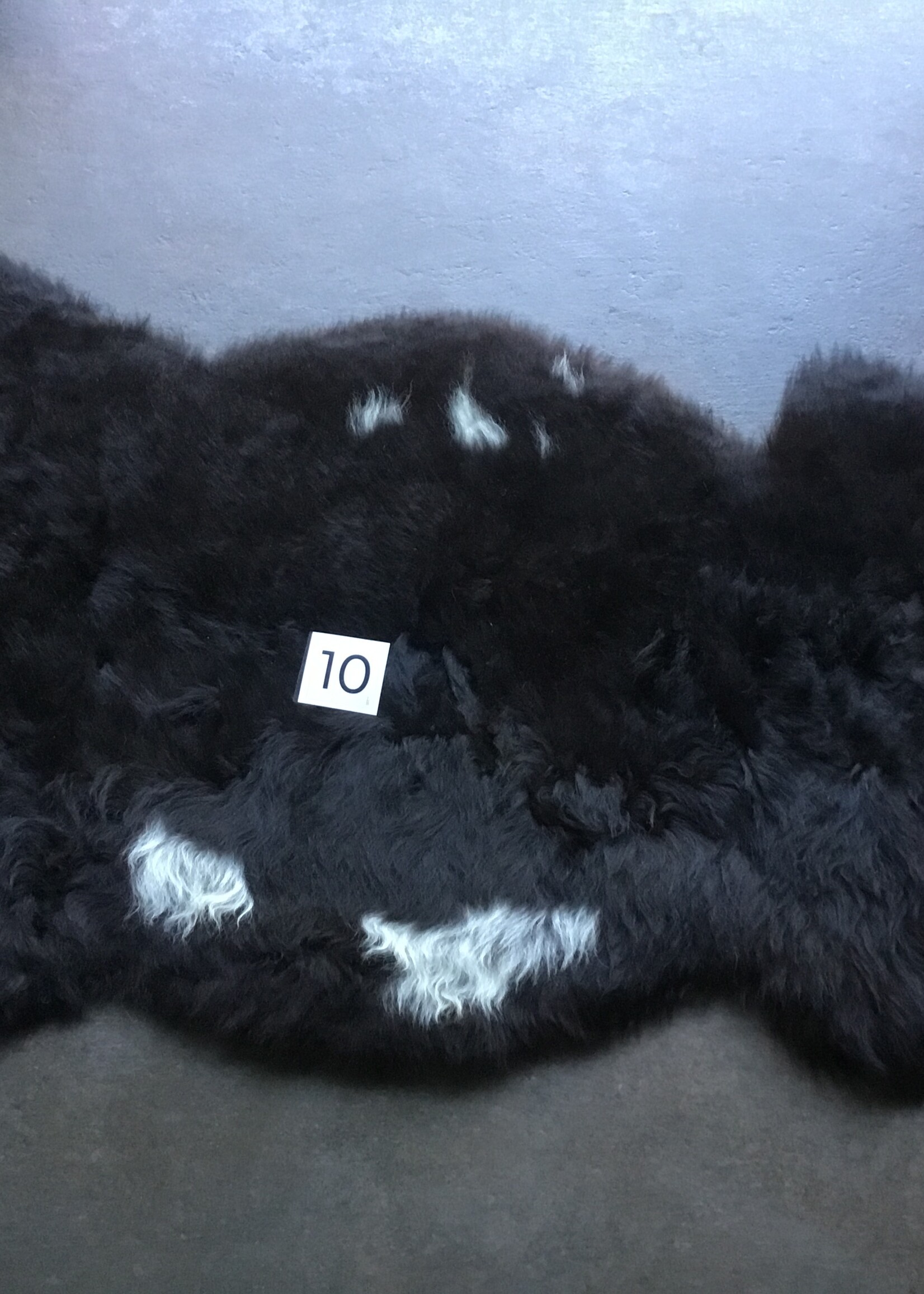 Schapenvachten M donkere kleuren