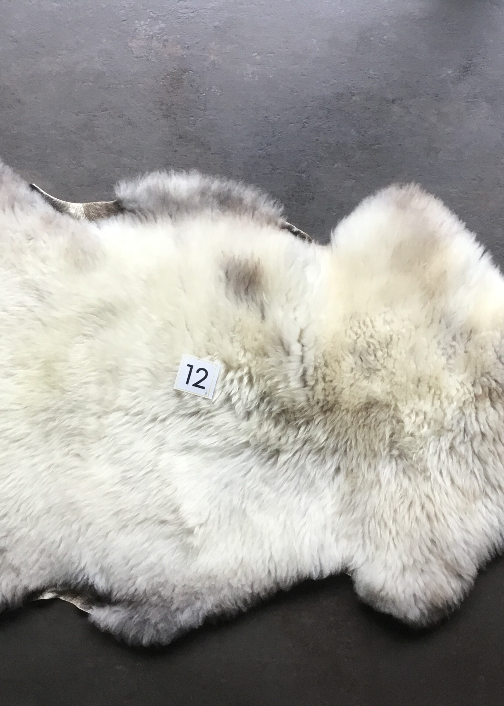 Schapenvacht L licht en bonte kleuren