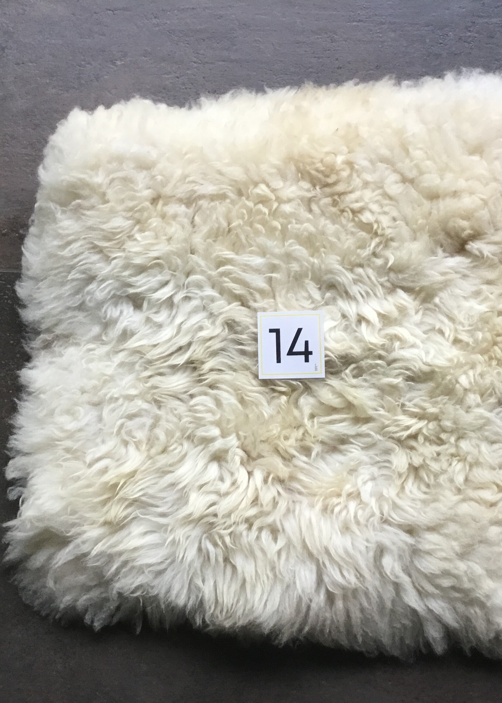 Chairpad lichte kleuren