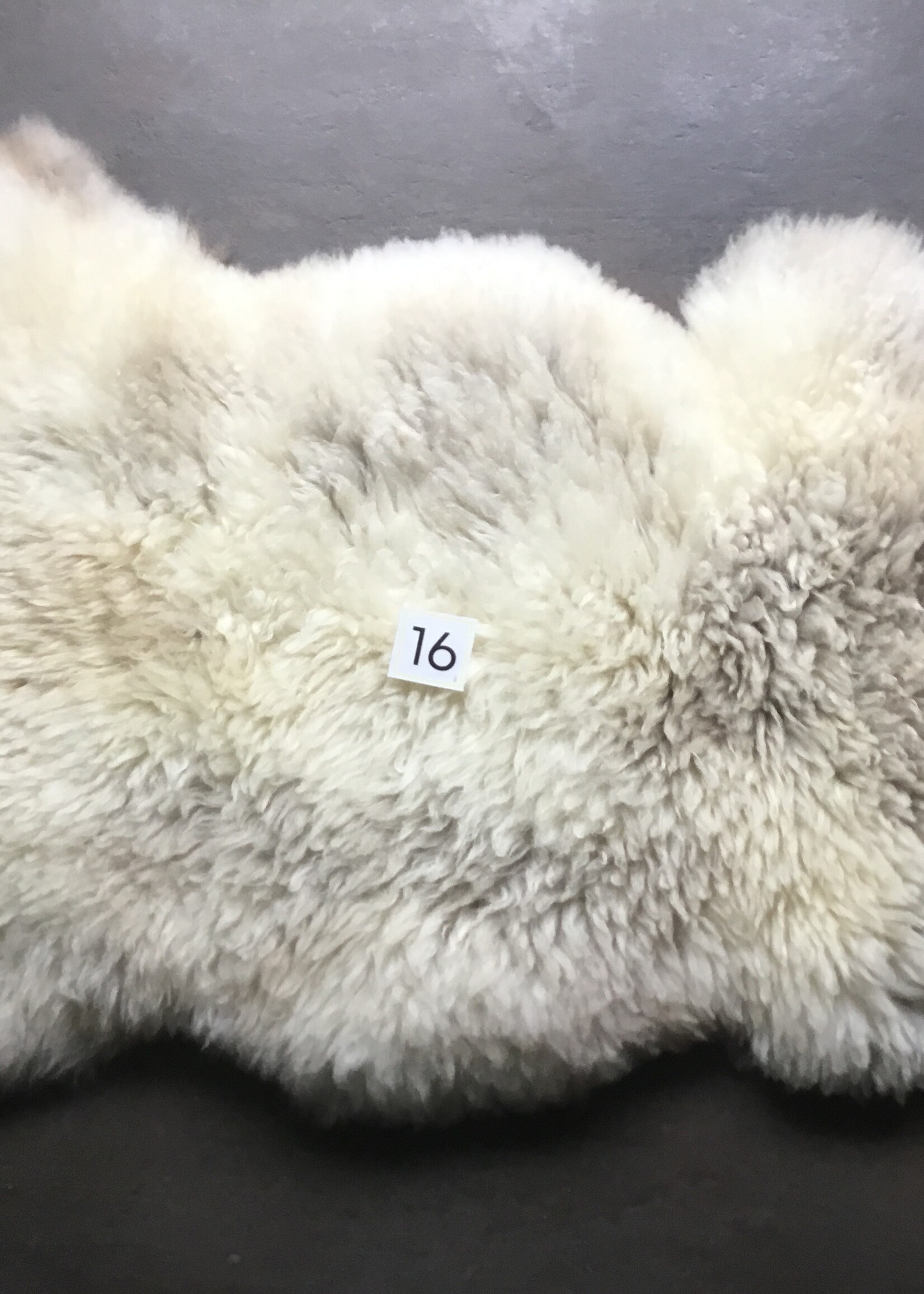 Schapenvachten  M lichte en Bonte kleuren