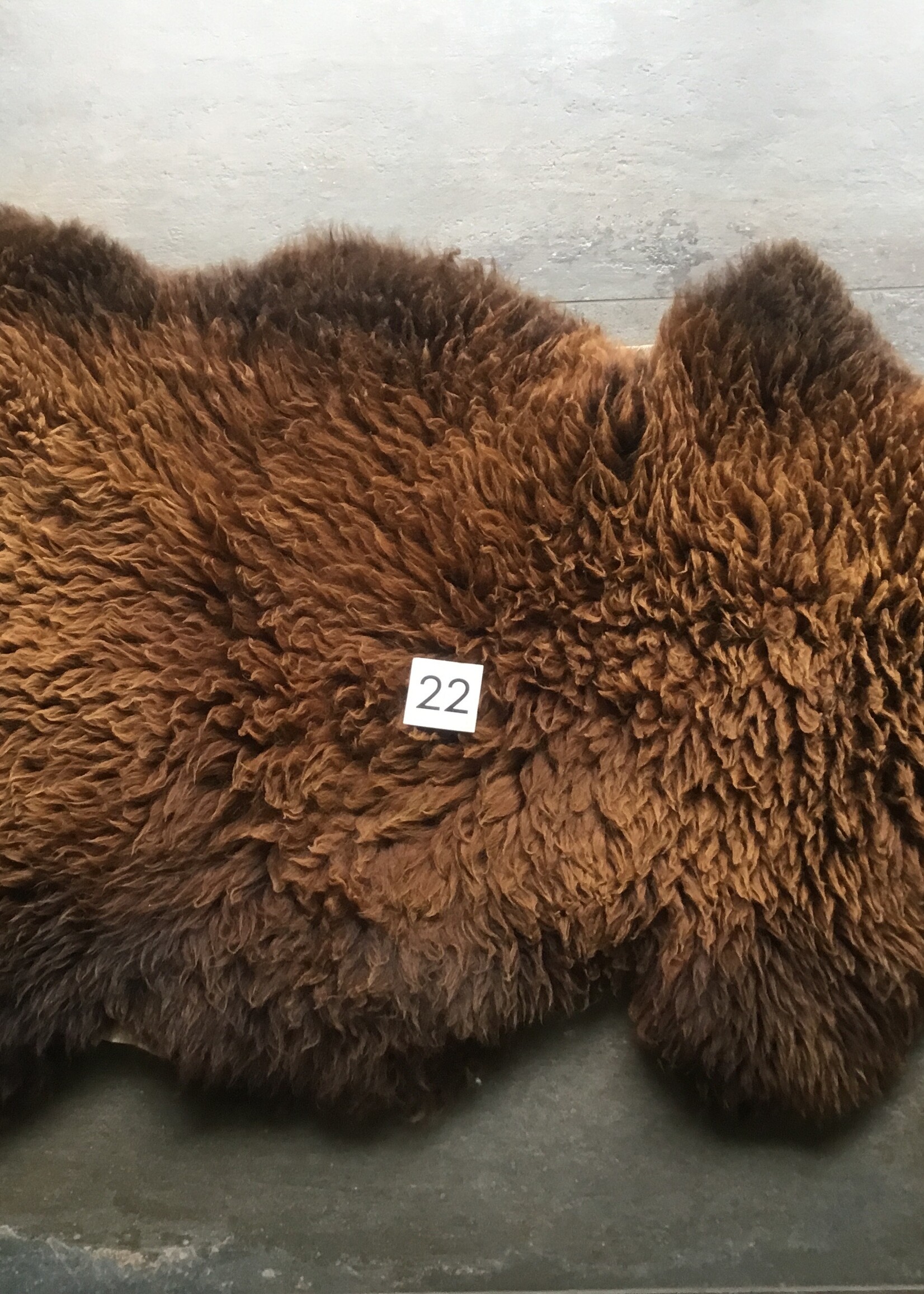 Schapenvachten M donkere kleuren