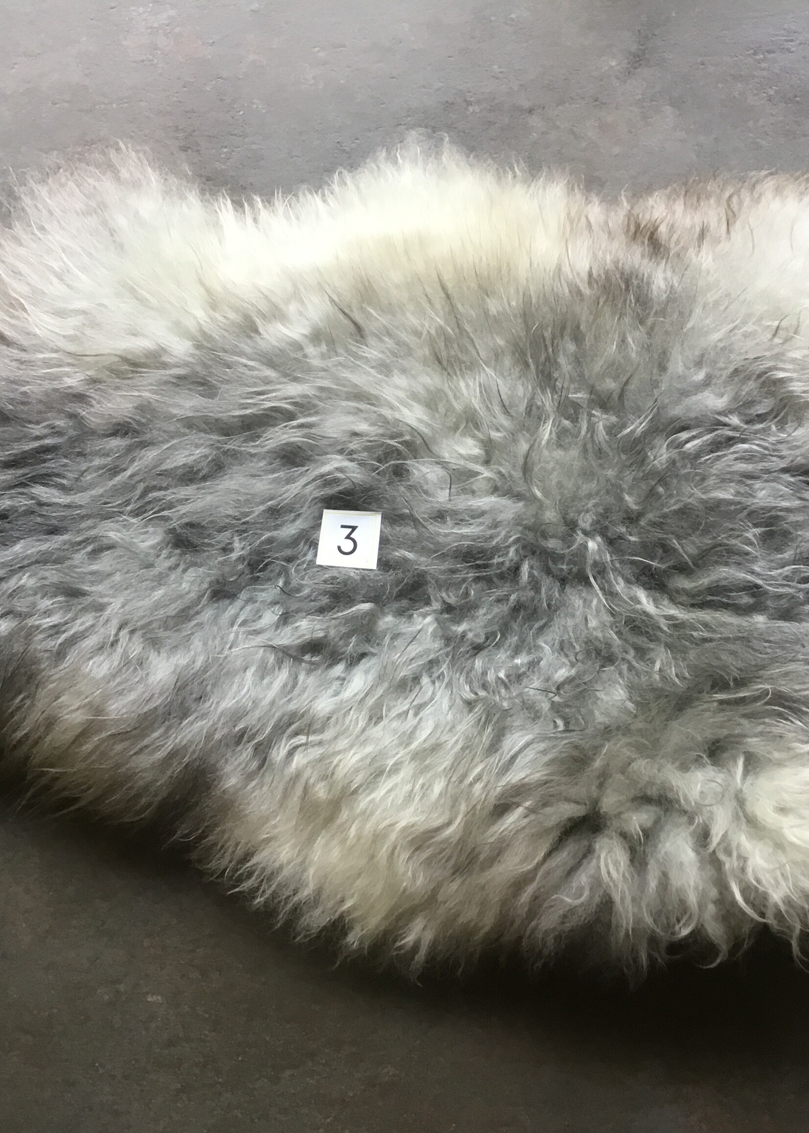 MELERADE SCHAPENVACHT