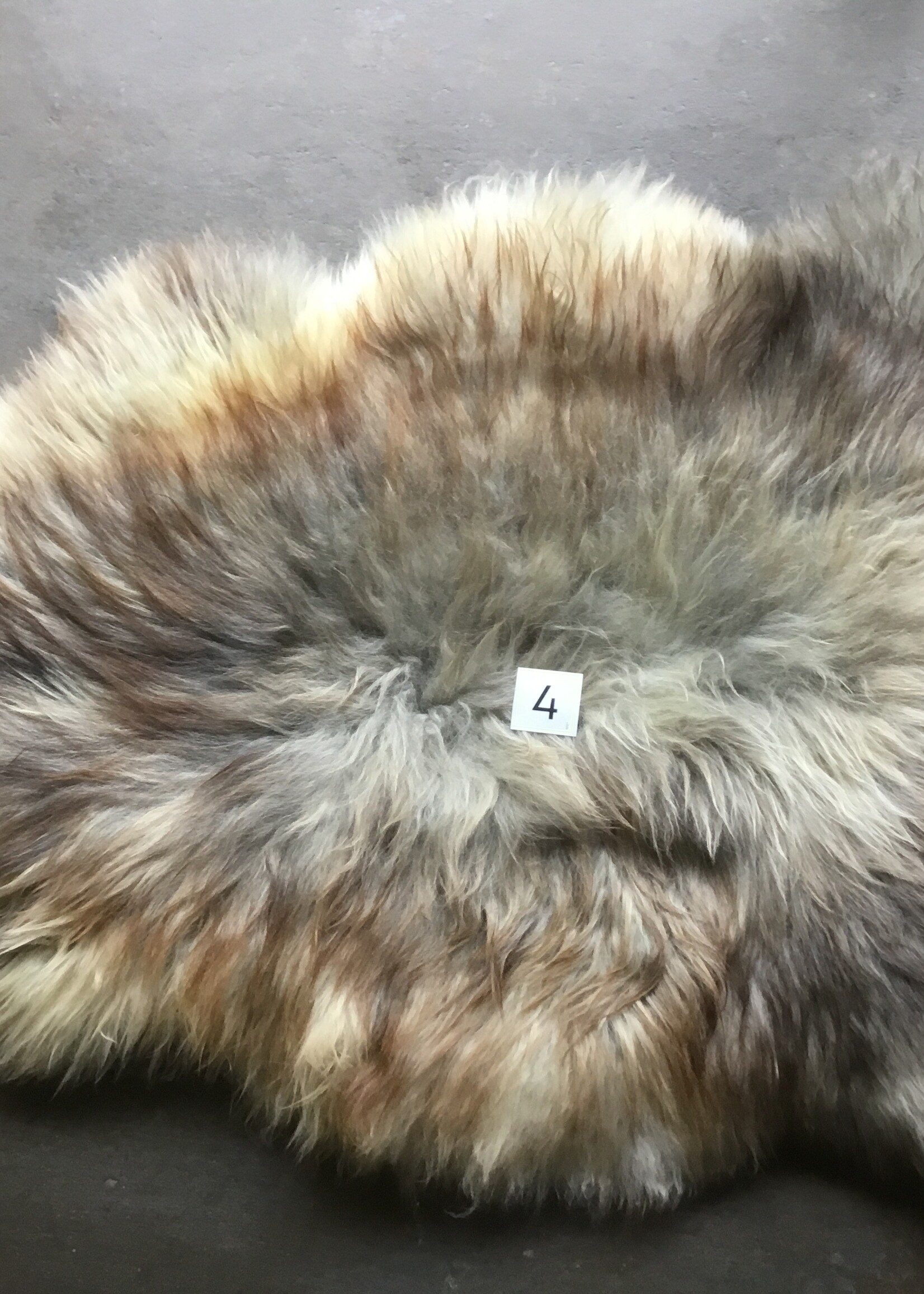 MELERADE SCHAPENVACHT