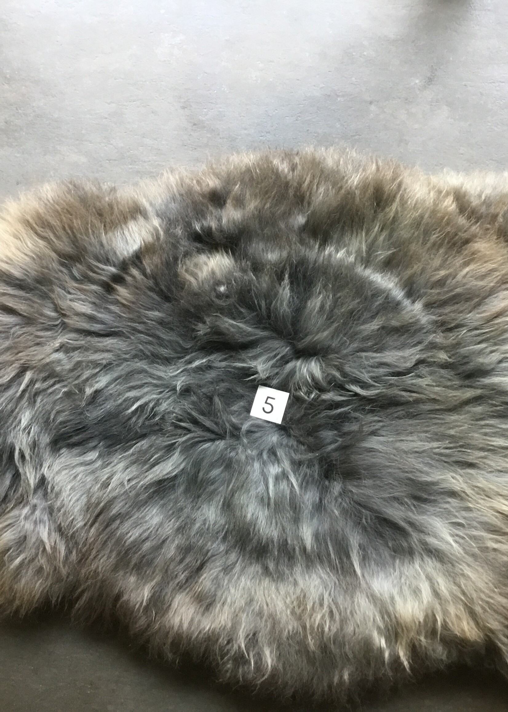 MELERADE SCHAPENVACHT