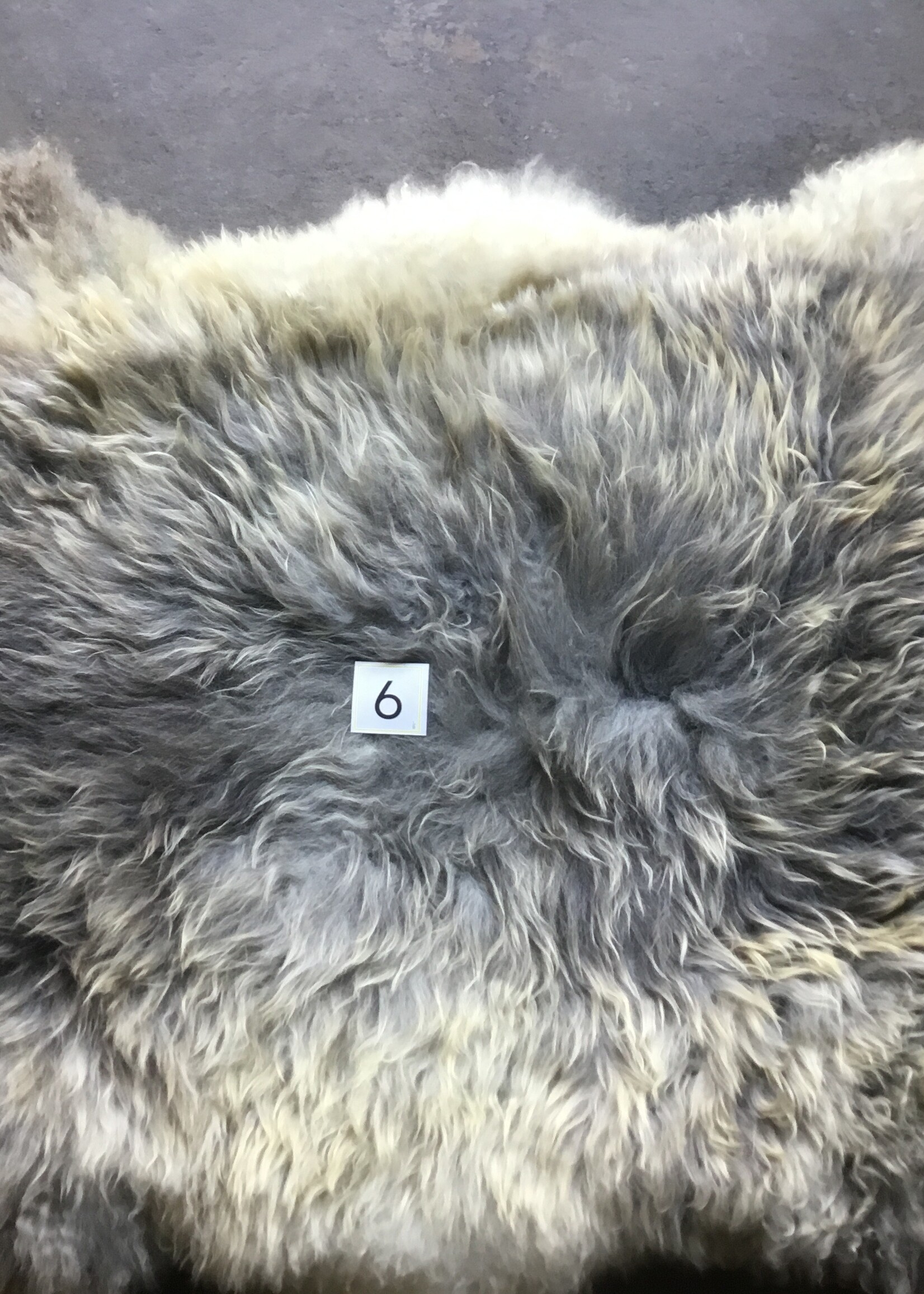 MELERADE SCHAPENVACHT