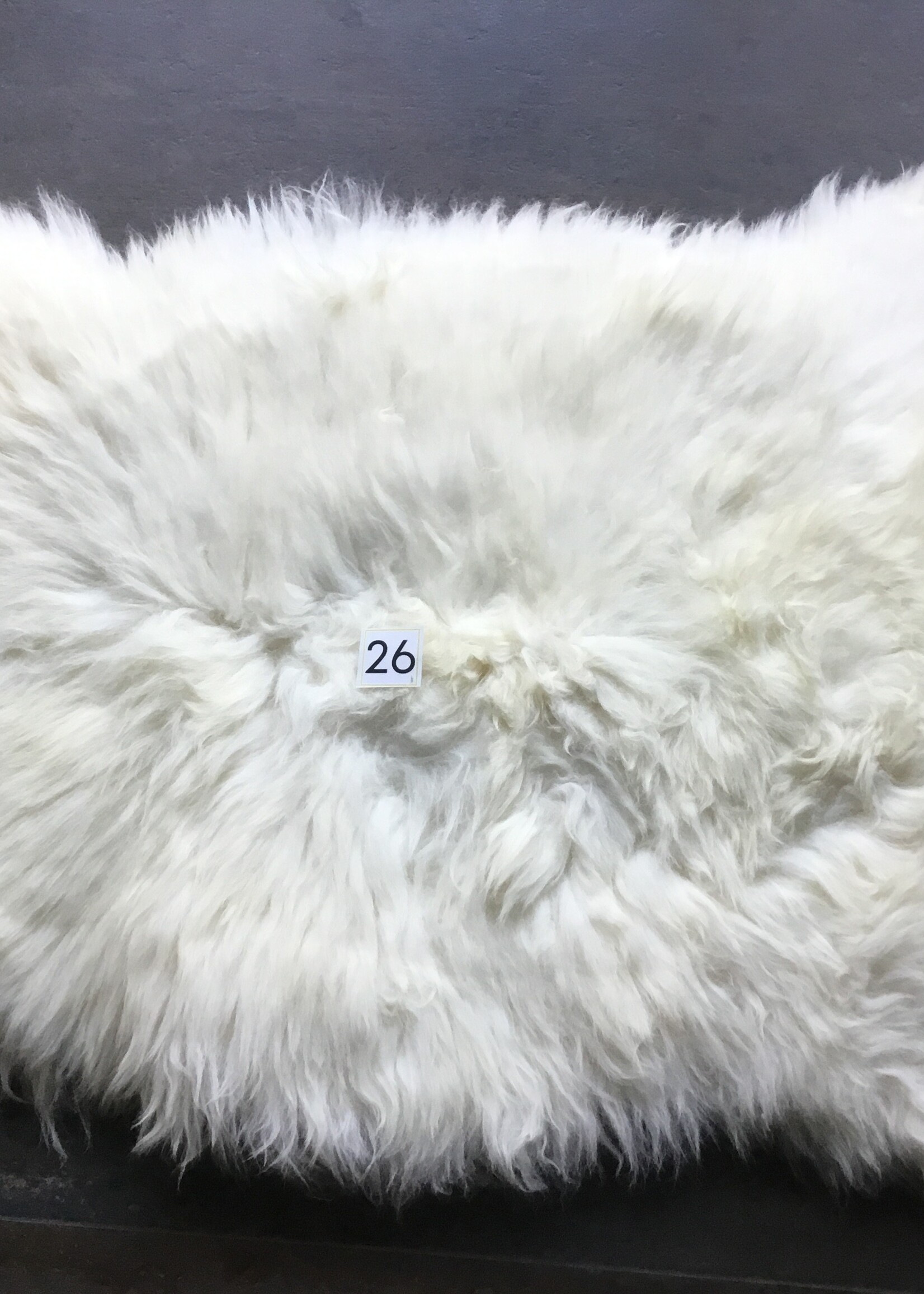 Schapenvacht XXL licht en bont