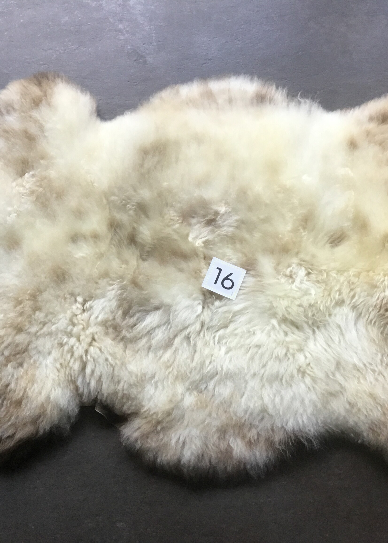 Schapenvacht L licht en bonte kleuren