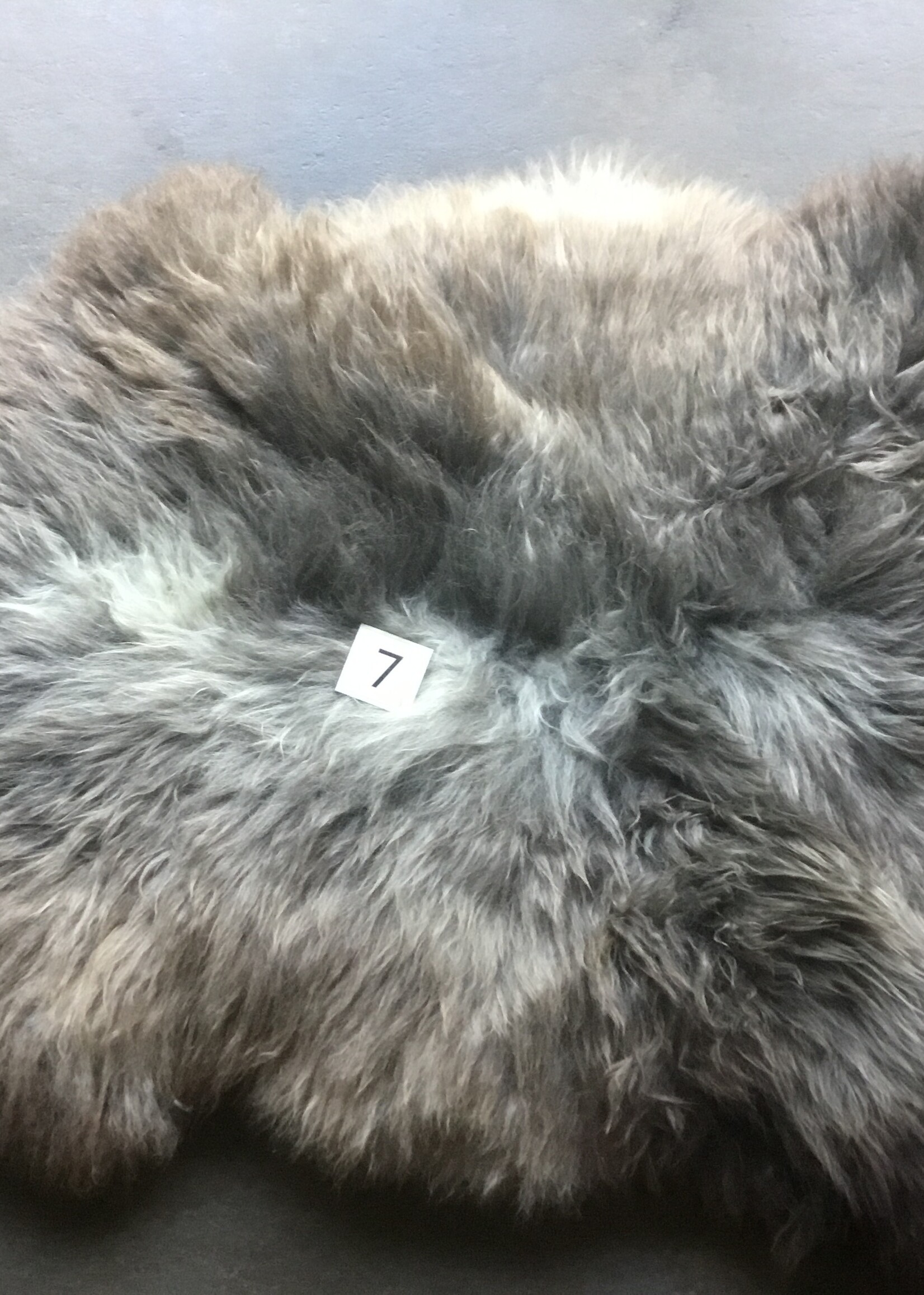 MELERADE SCHAPENVACHT