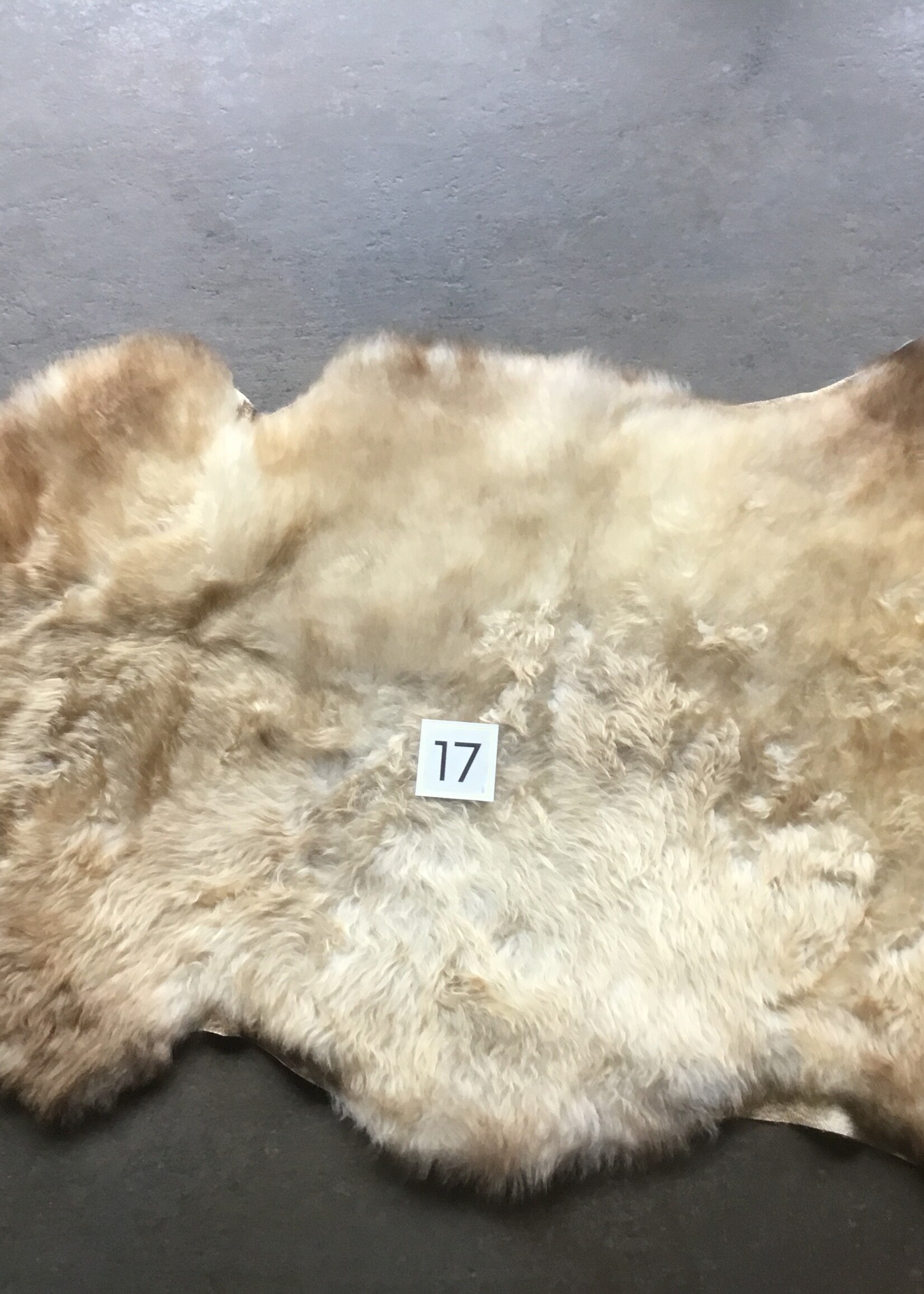 Schapenvacht L licht en bonte kleuren