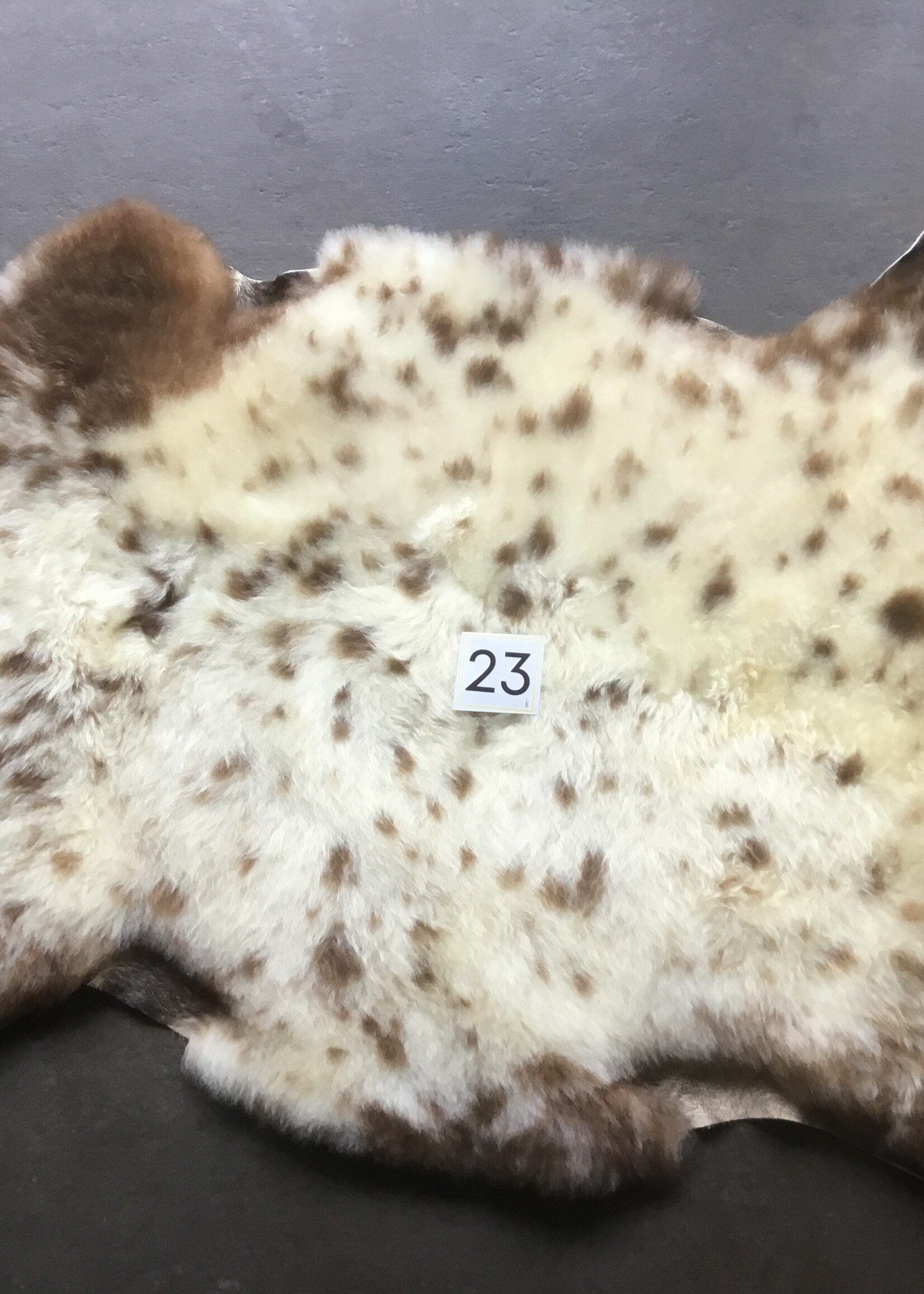 Schapenvachten  M lichte en Bonte kleuren