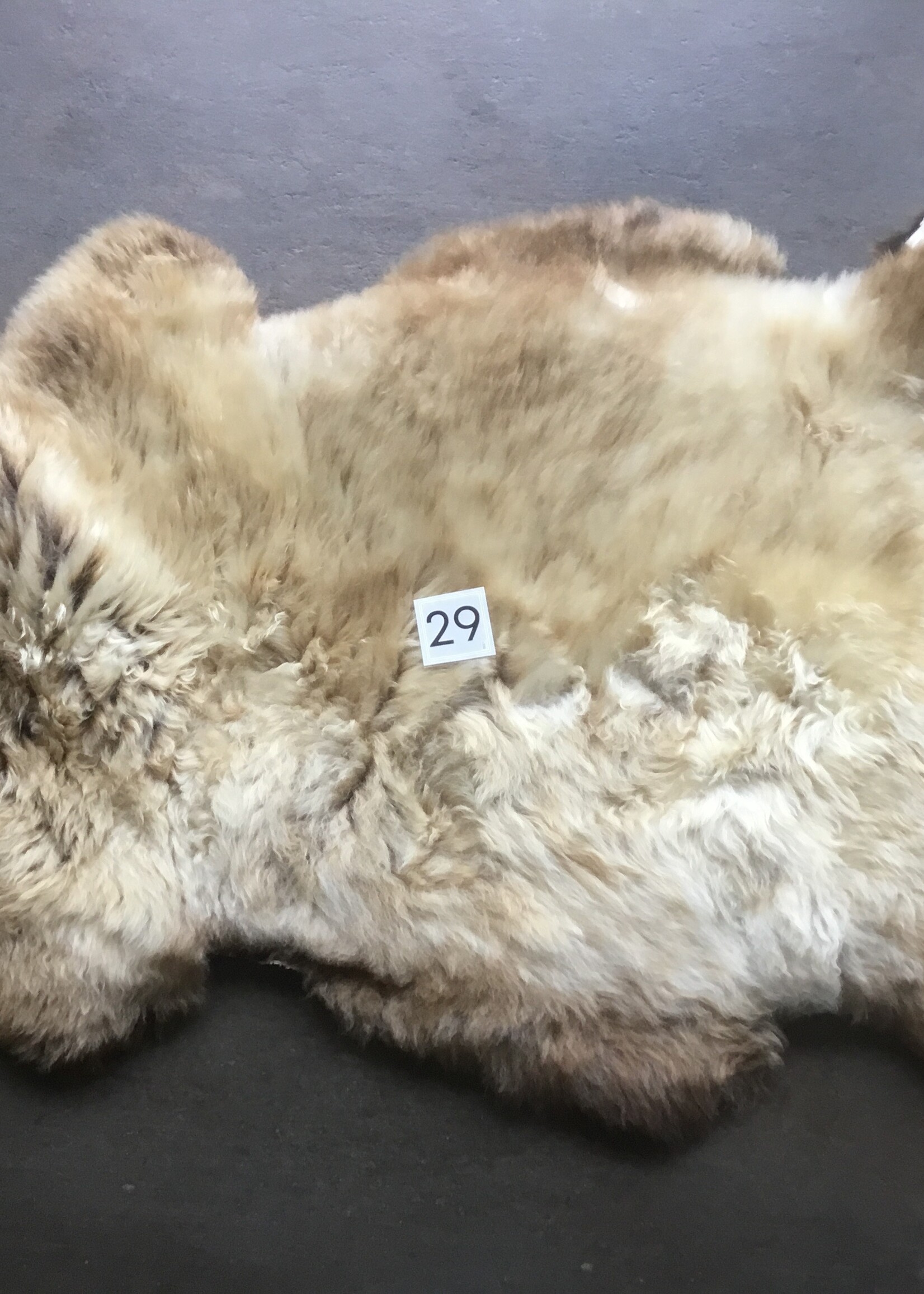 Schapenvachten XXL licht en bont