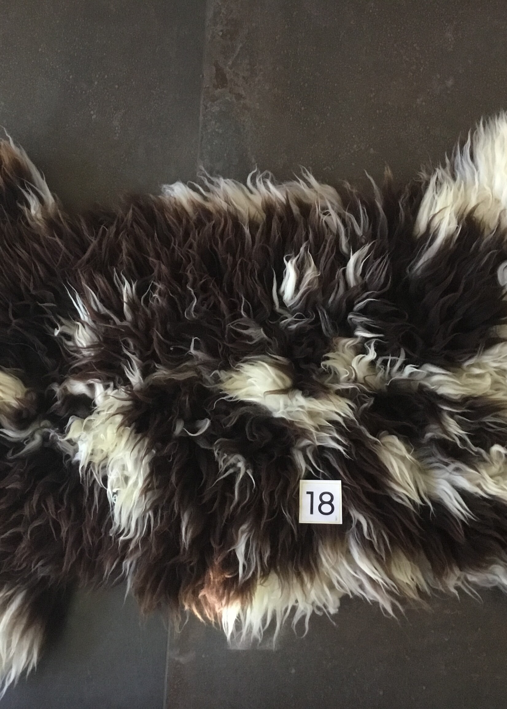 Schapenvachten  M lichte en Bonte kleuren