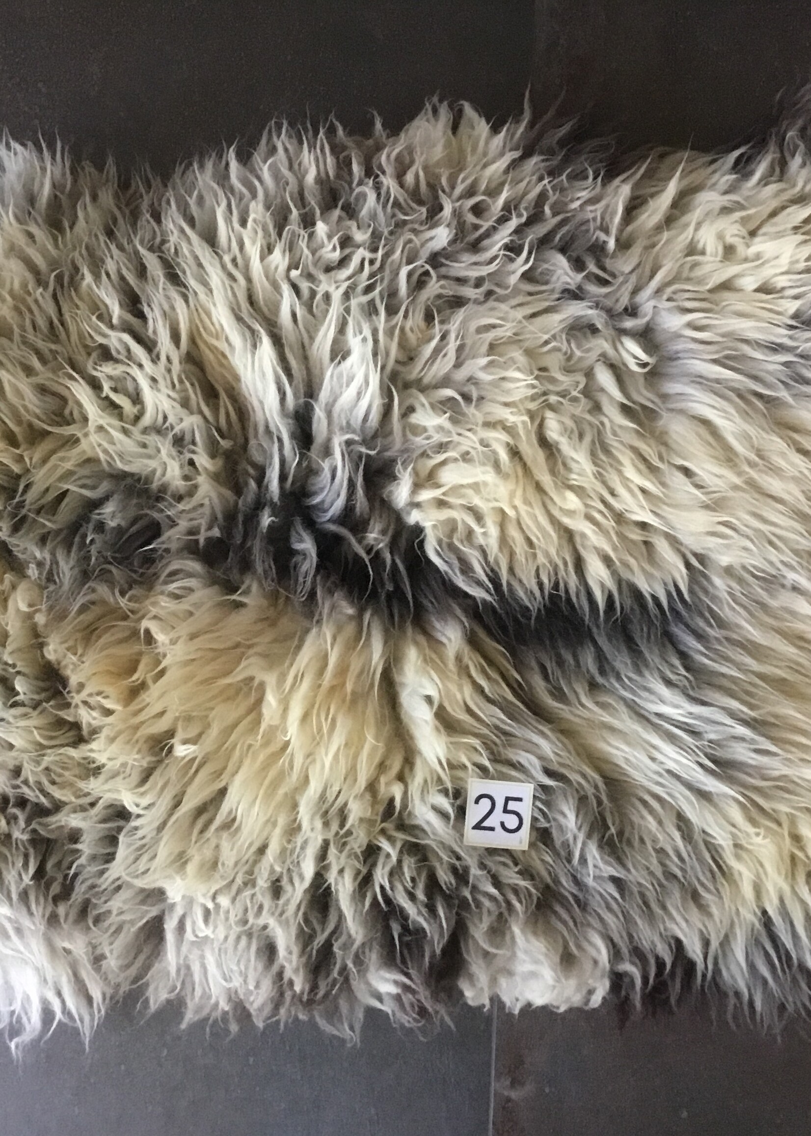 Schapenvachten XXL licht en bont