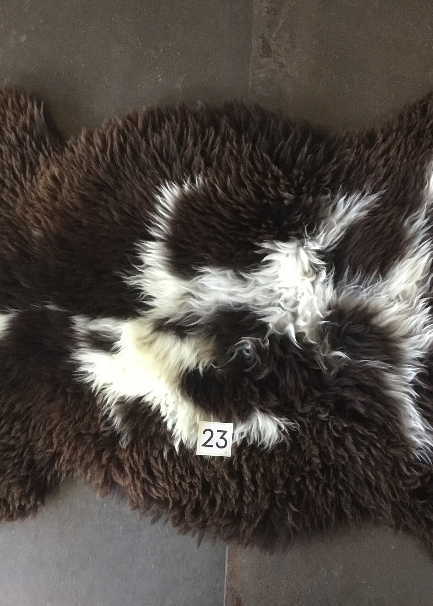 Schapenvachten XXL licht en bont