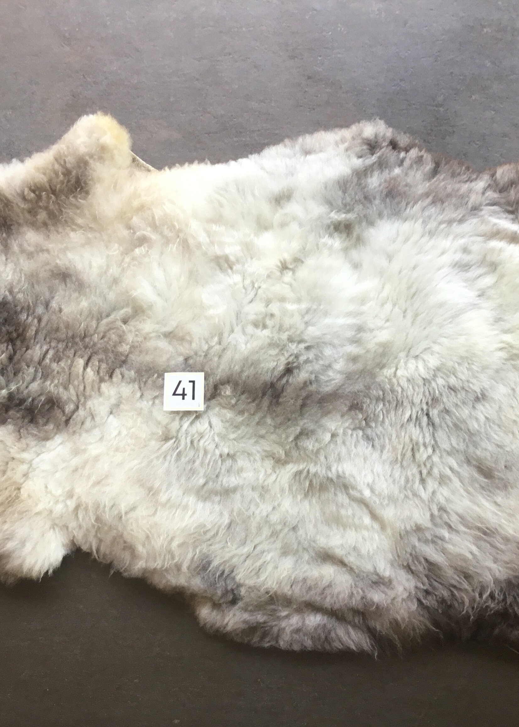 Schapenvachten XXL licht en bont