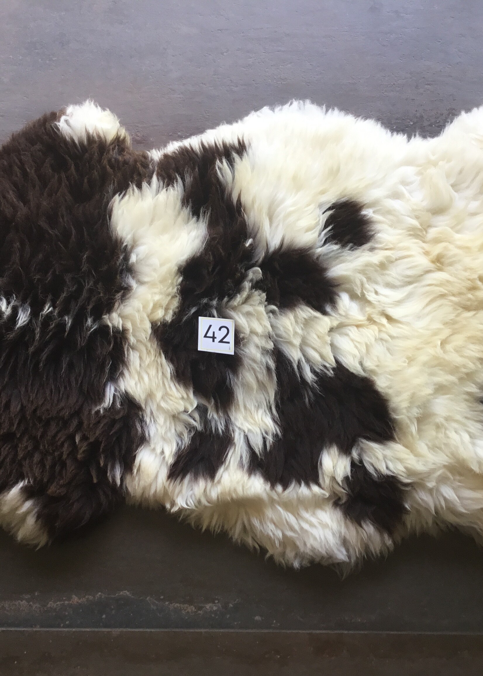 Schapenvachten XXL licht en bont