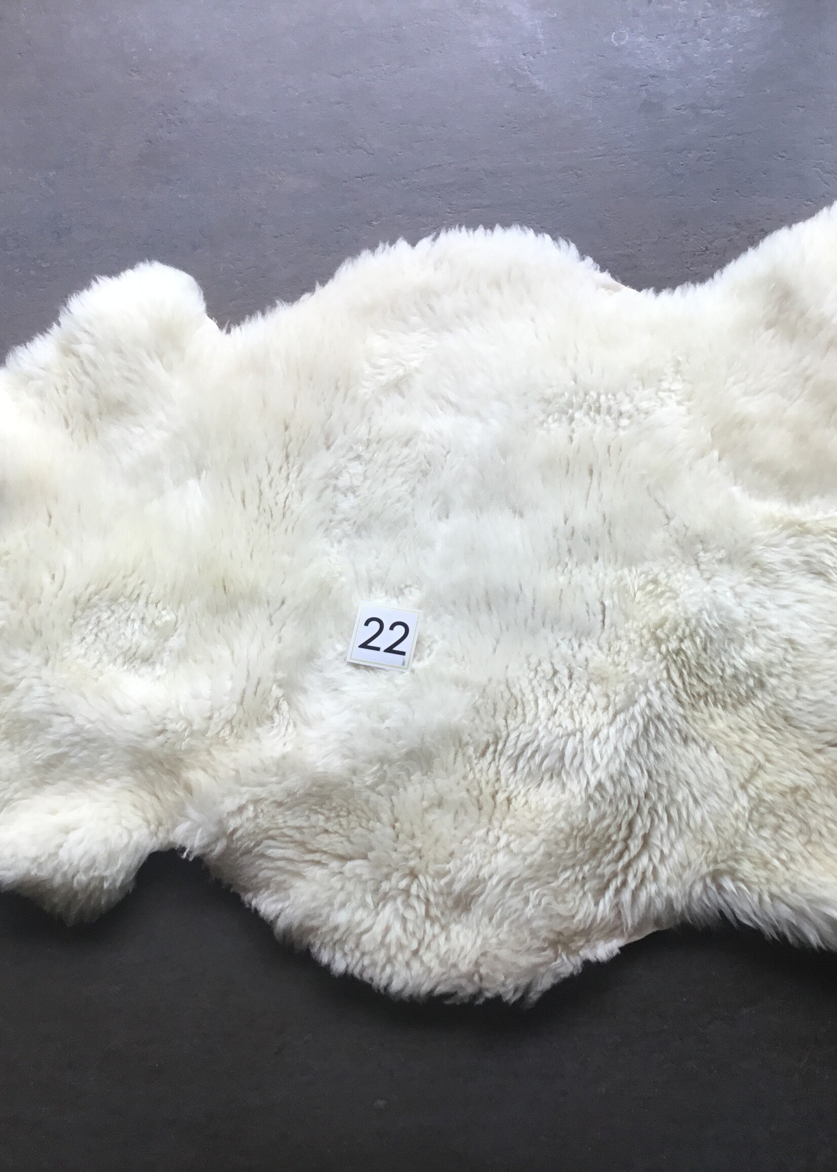 Schapenvacht L licht en bonte kleuren