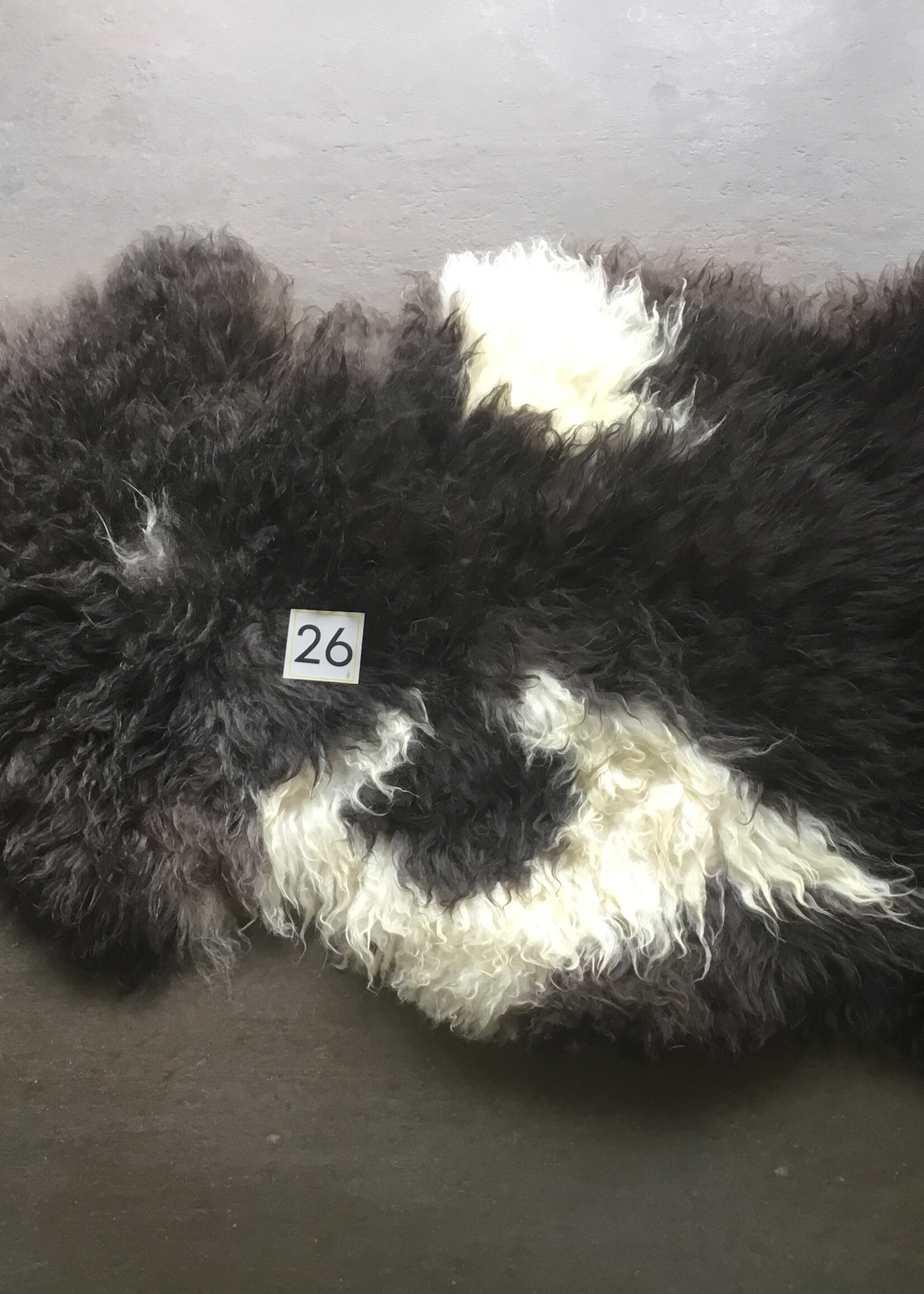 Schapenvacht L licht en bonte kleuren