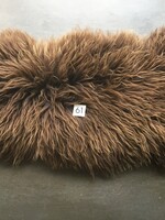 Schapenvachten  L Donkere kleuren