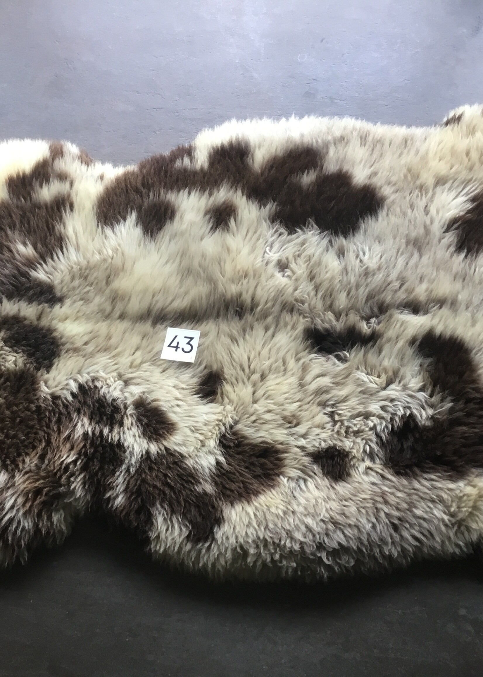 Schapenvachten XXL licht en bont