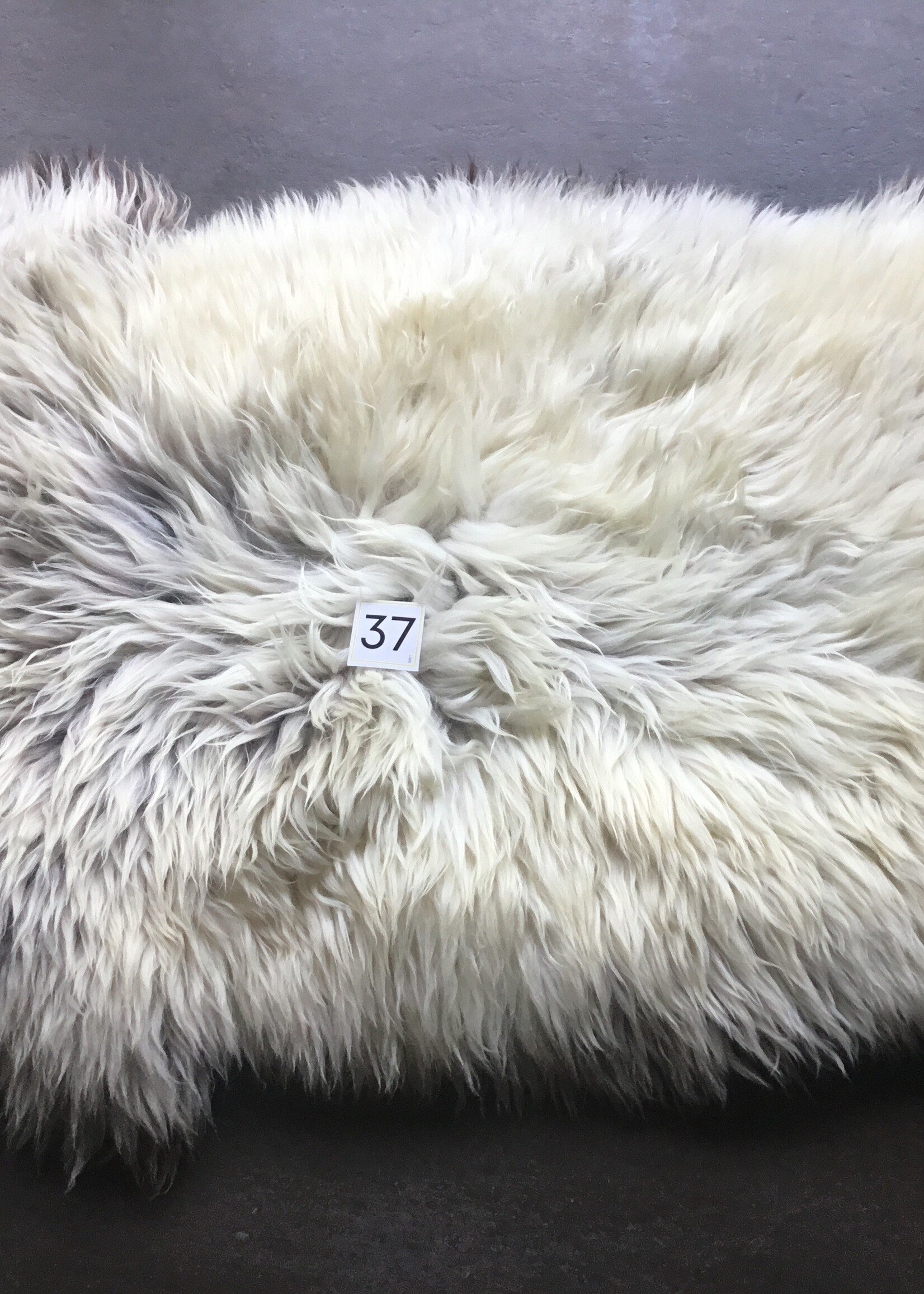 Schapenvachten XL