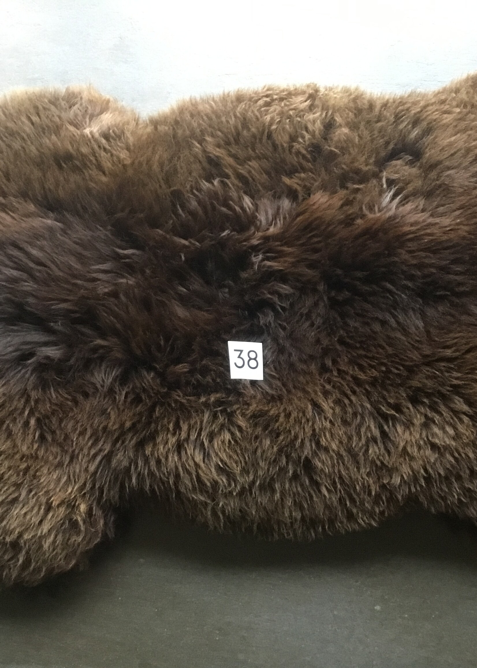 Schapenvachten XL