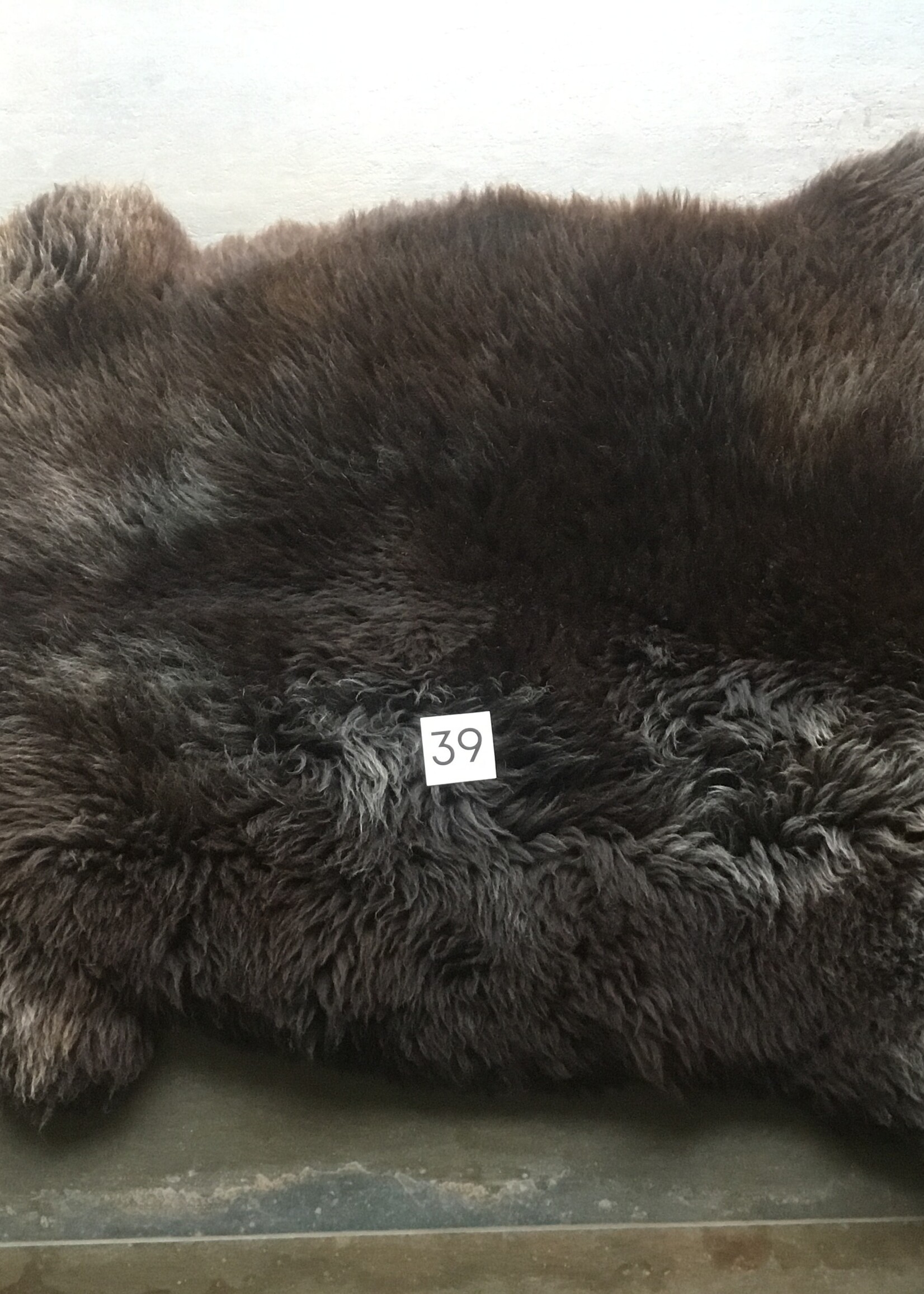 Schapenvachten XL