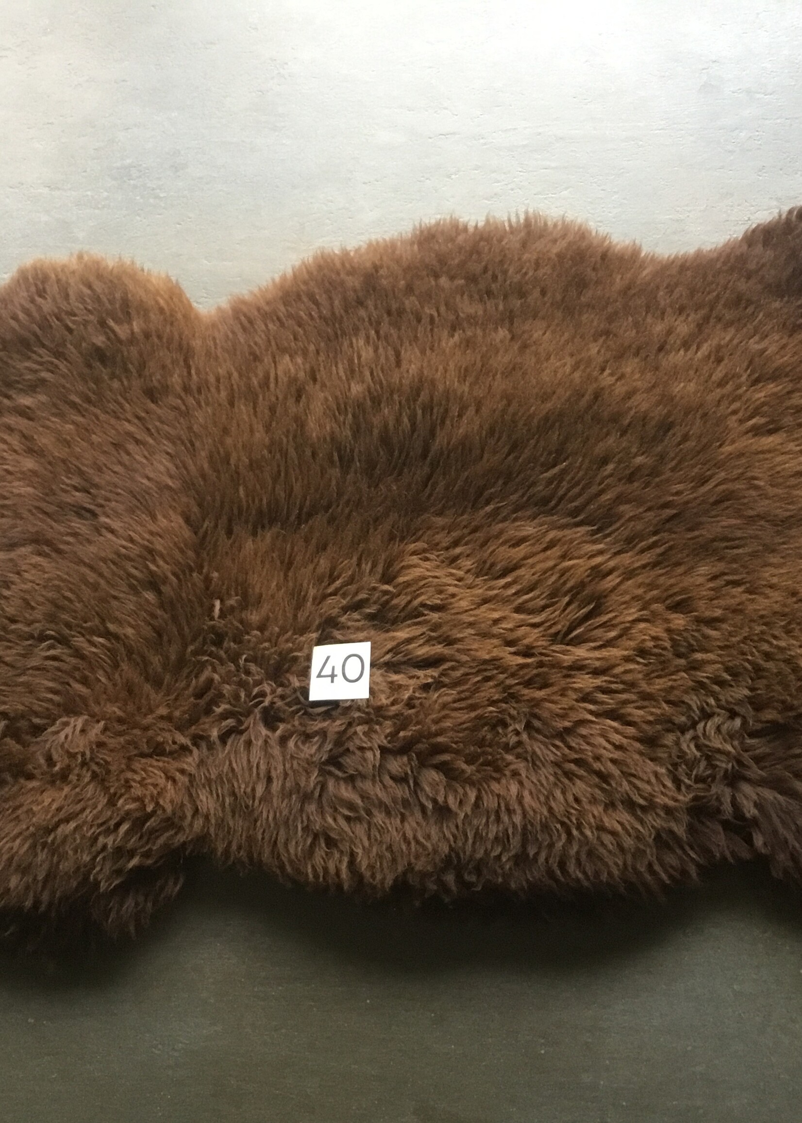 Schapenvachten XL