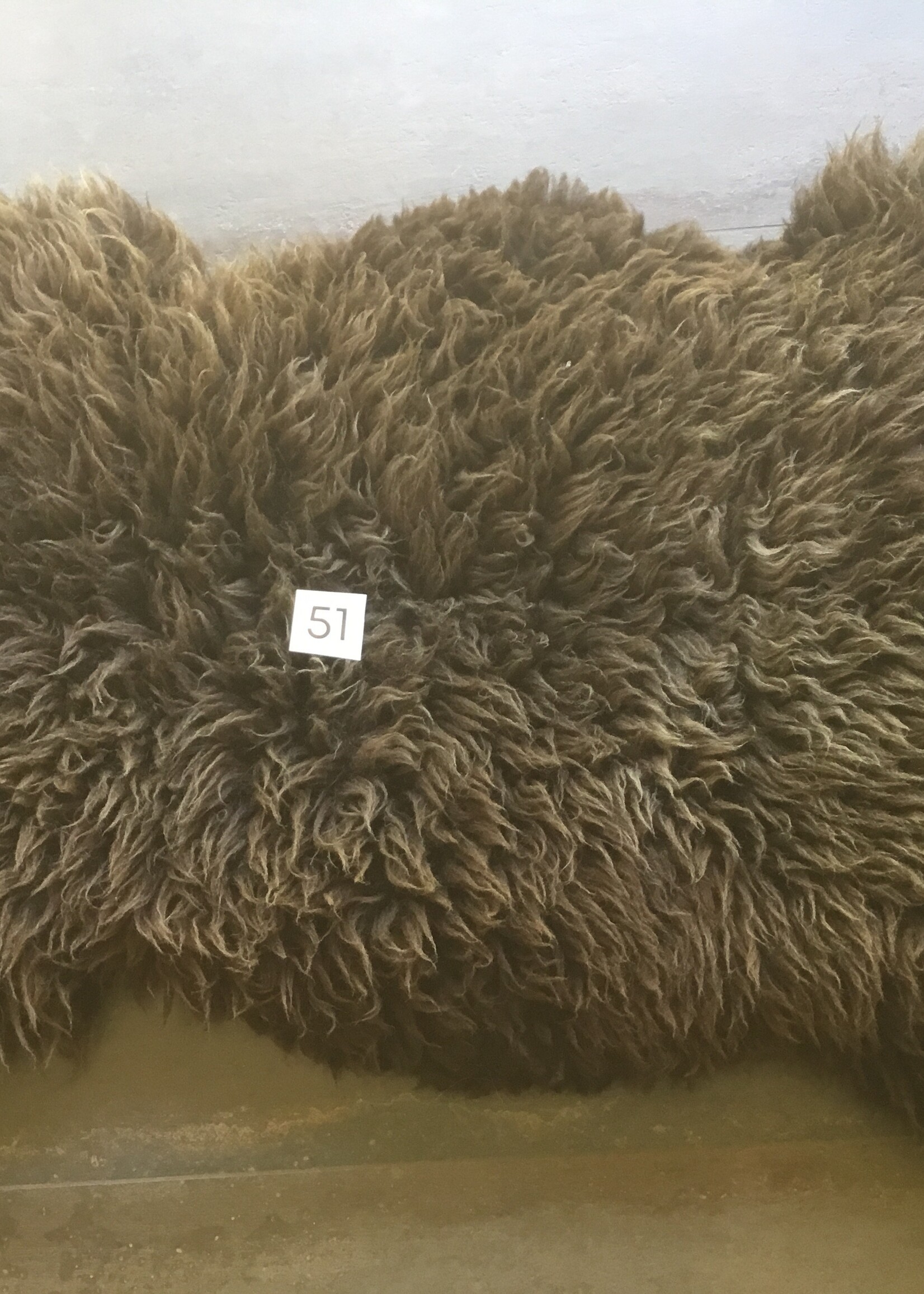 Schapenvacht xxl en xxxl  bruin en grijs