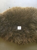 Schapenvachten S