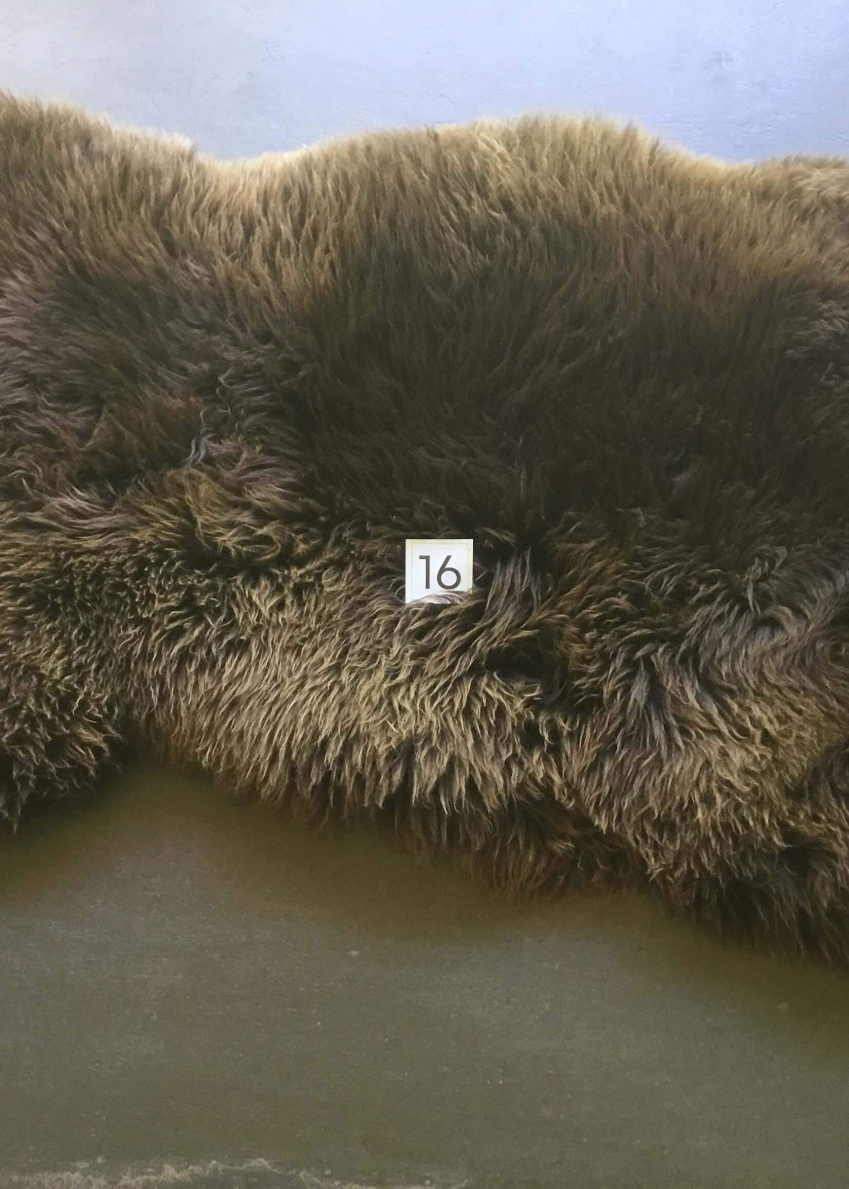 Schapenvachten M donkere kleuren