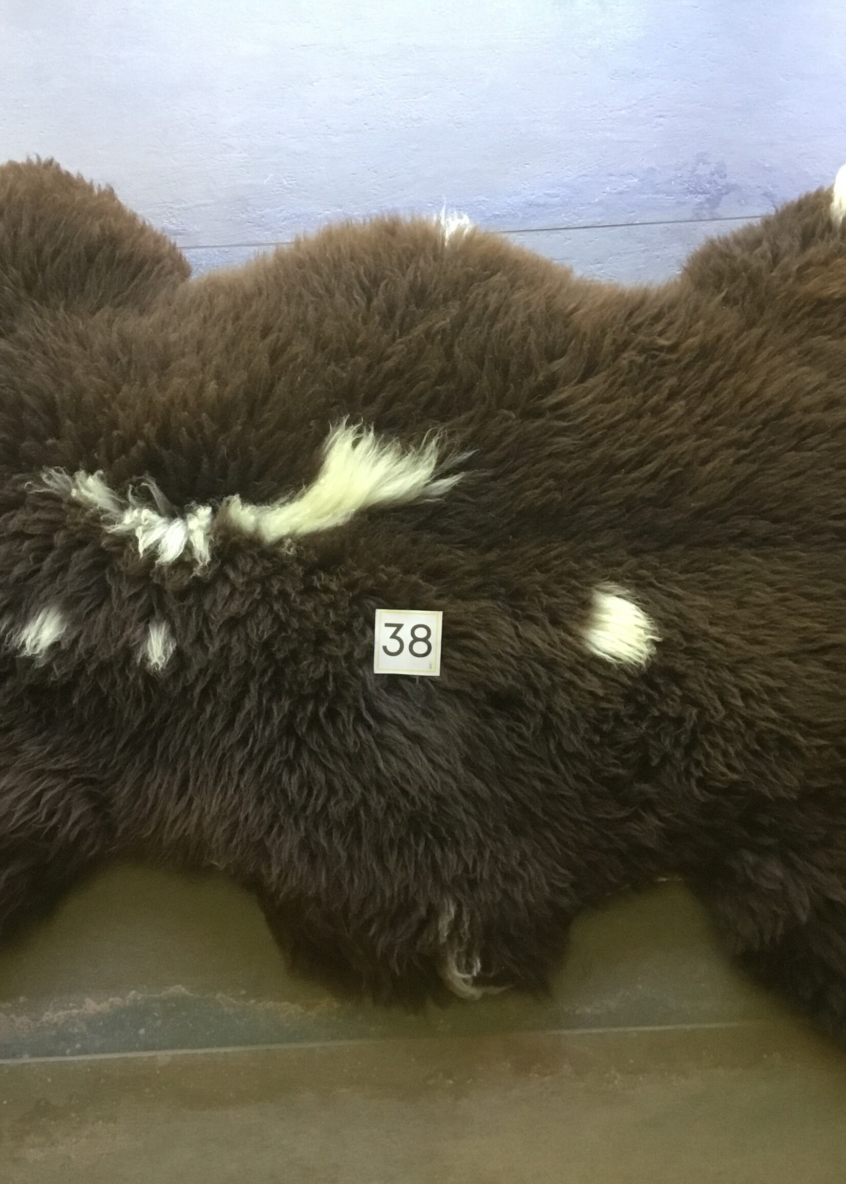 Schapenvachten XL