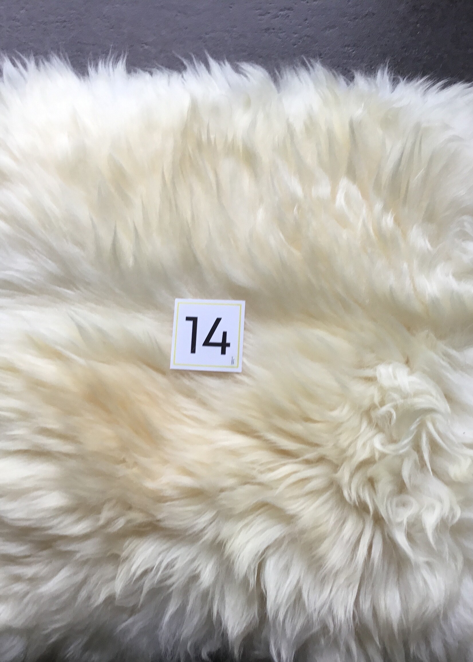 Chairpad  alle kleuren