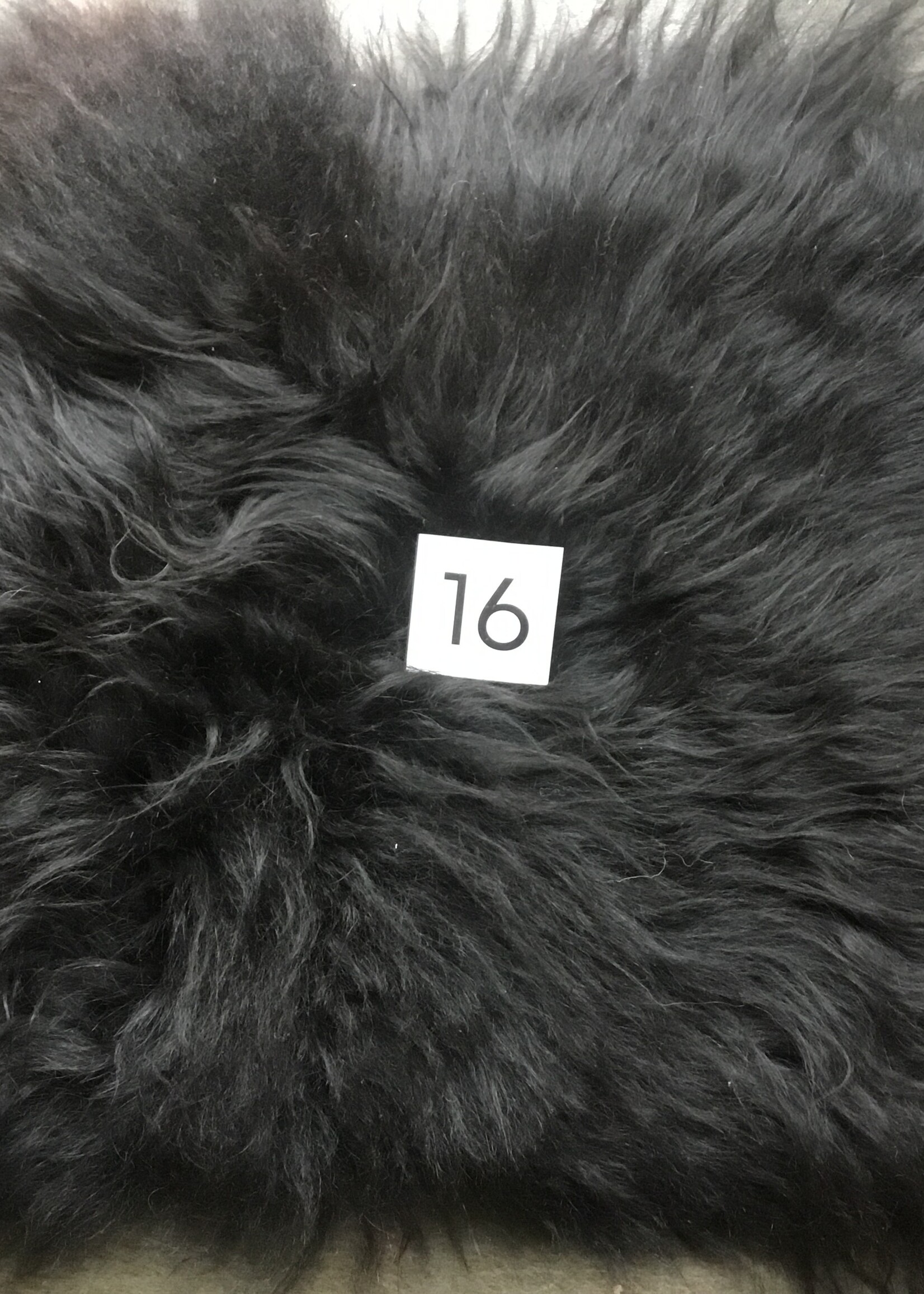 Chairpad  alle kleuren