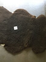 Schapenvachten  XXL en 3XL alle kleuren