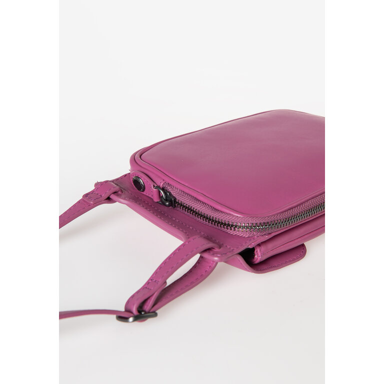 Aunts & Uncles Aunts & Uncles Jamie's Orchard Tulip Red Violet